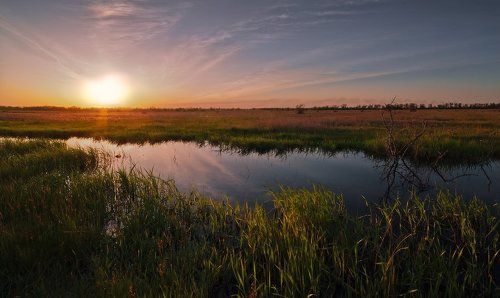 Закат в степи