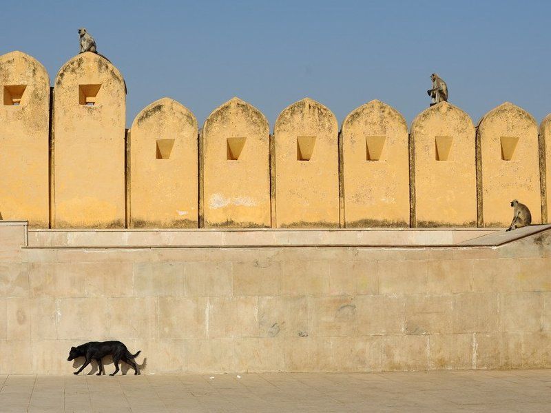 индия, дажйпур равнение на левоphoto preview