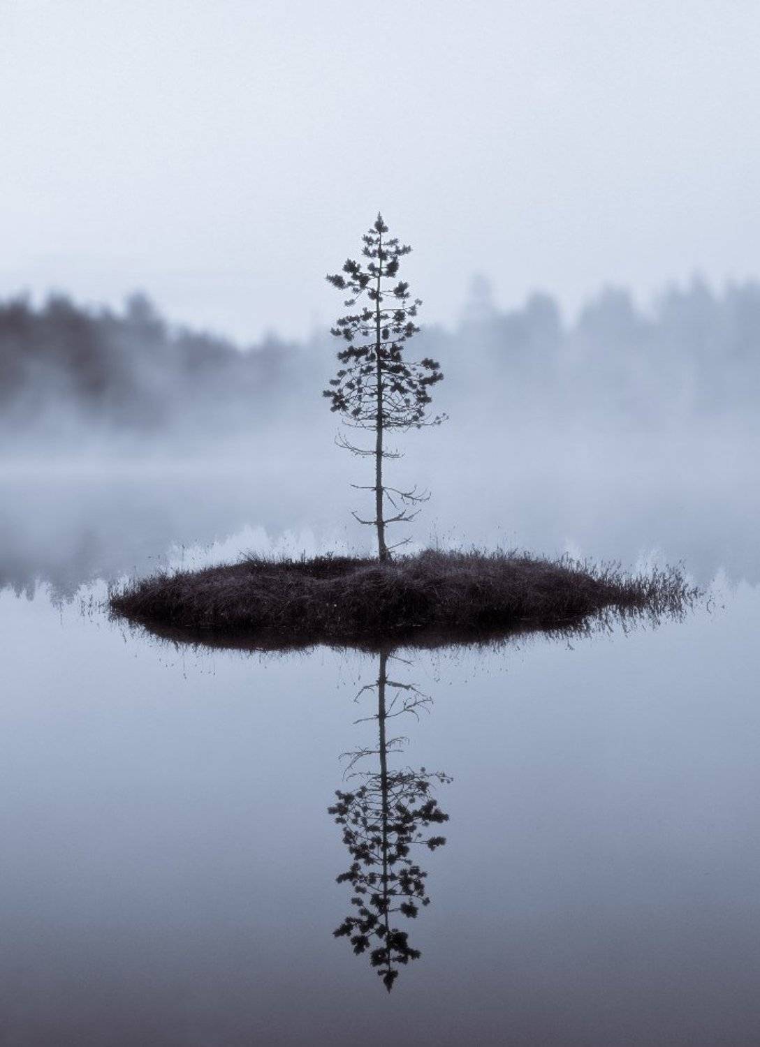 Остров. Автор: KSergeyV остров, туман, лес, вода, сосна, KSergeyV