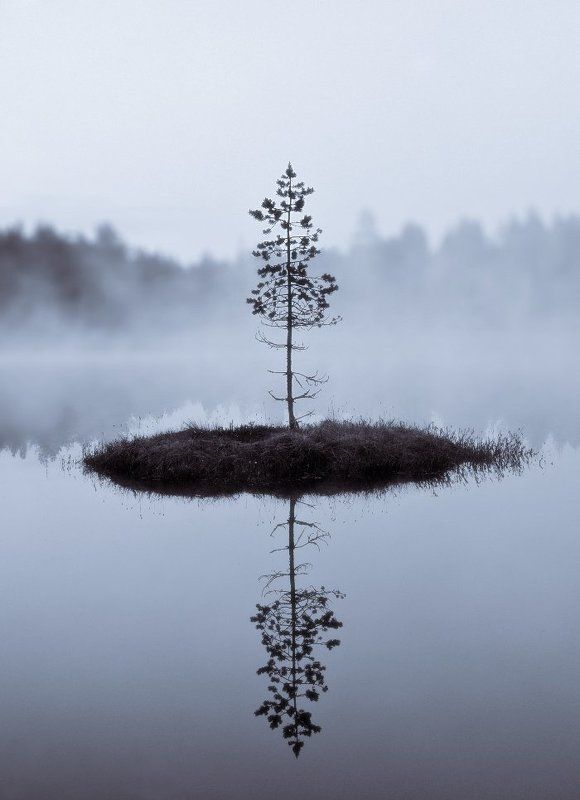 остров, туман, лес, вода, сосна Островphoto preview