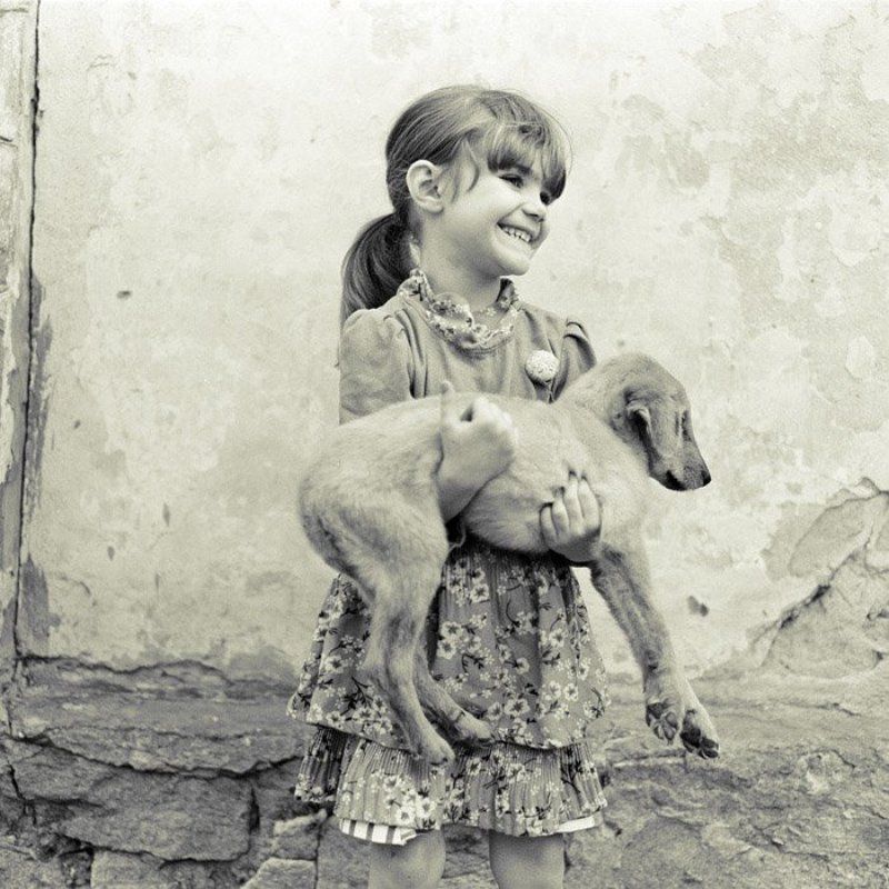 Двор.photo preview