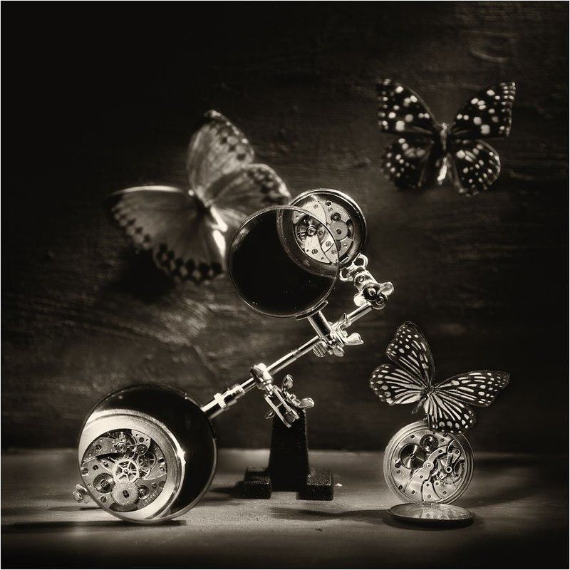 Среди бабочек и механизмовphoto preview