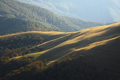 щу пальцы
