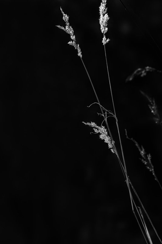 Осеннееphoto preview