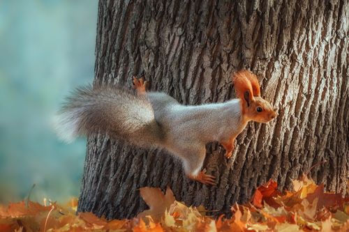 Шпагат с переворотом :)