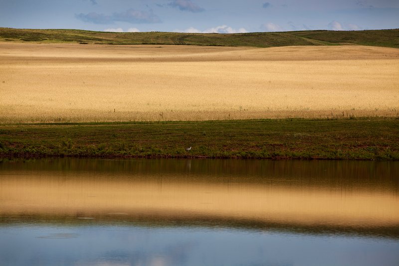 озеро,поле,осень,отражение На озереphoto preview