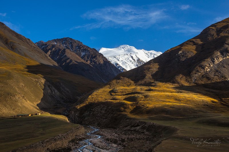 кыргызстан, долина реки койлю про то как тени гоняют...  овецphoto preview