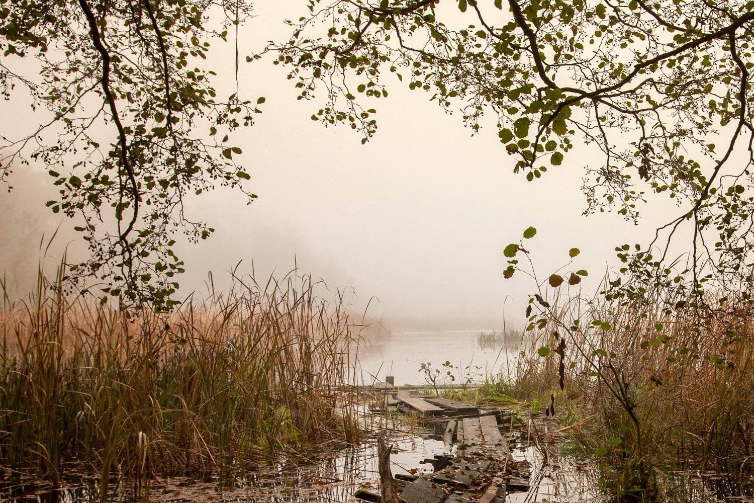 Автор: MiroM , MiroM