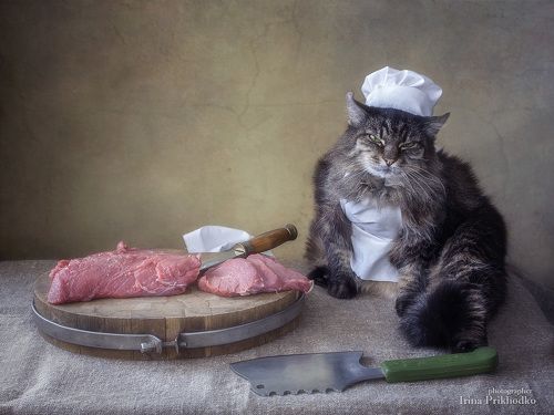 Вальяжный мясник