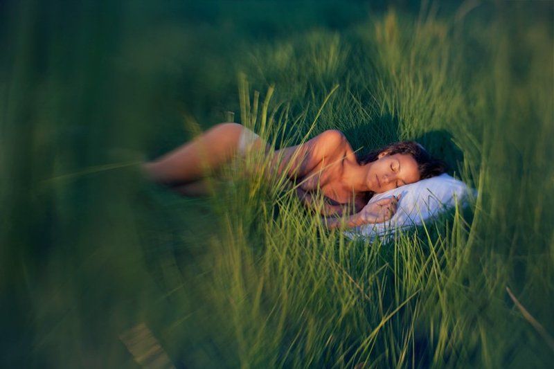 To fade in the silence of the forest..photo preview