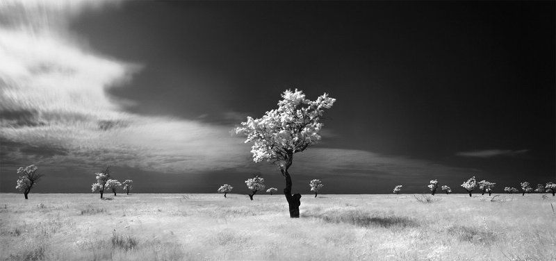 Один в поле воинphoto preview