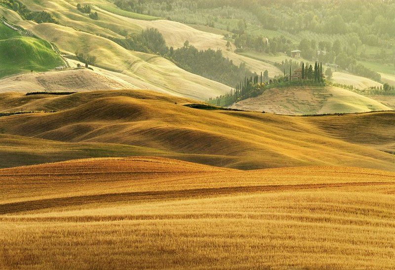 волнового поляphoto preview