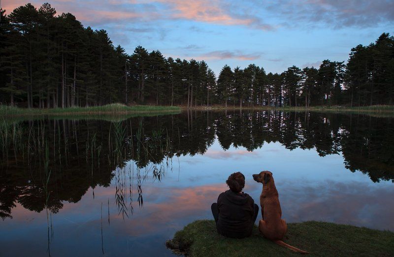 друзьяphoto preview