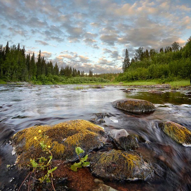 север Вечерелоphoto preview