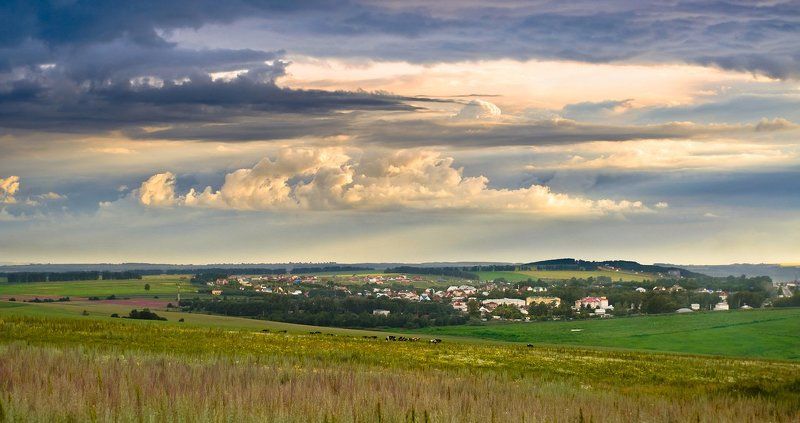 На лугу пасутся Коphoto preview