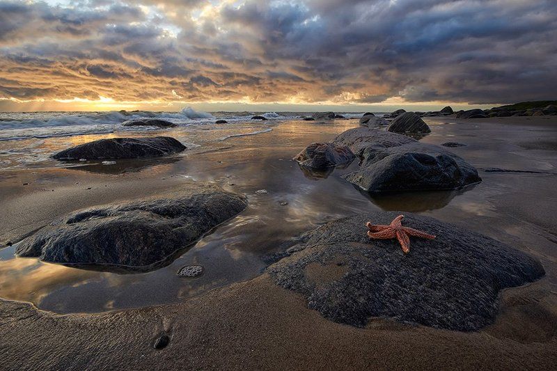 белое, море, север Доброе утроphoto preview