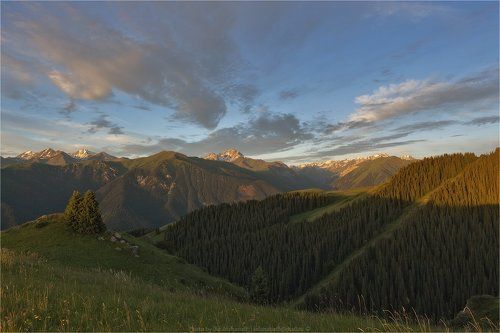 Табан-Карагай, Каинды, Ассы, июнь 2012