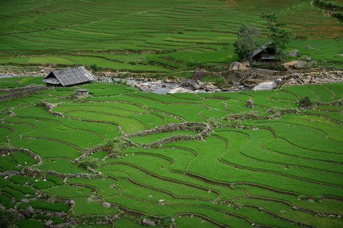 Там, где зеленые волны...