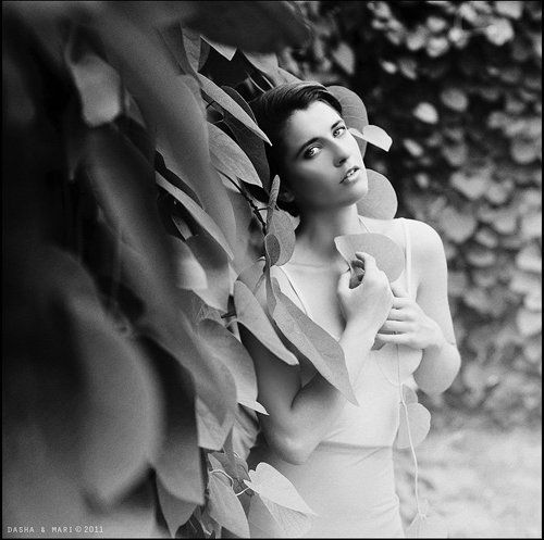 Secret garden