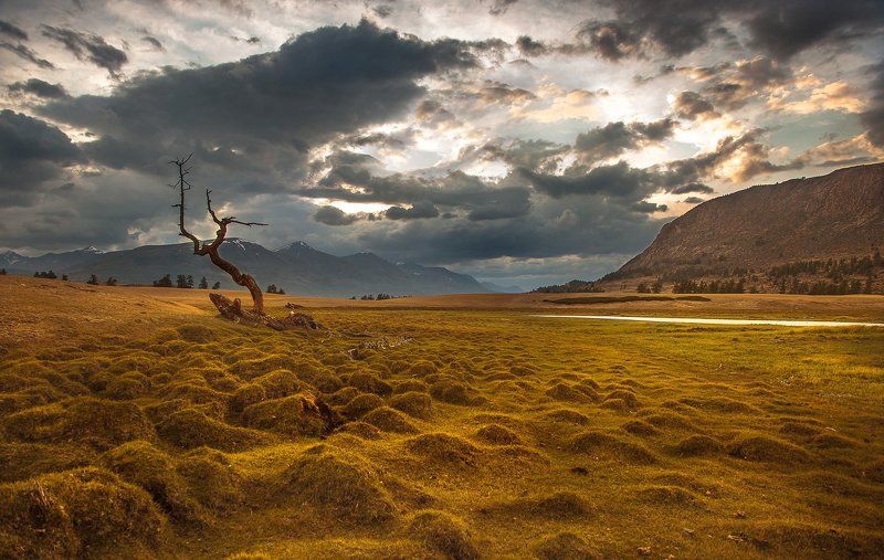 На берегах Hoton Noorphoto preview