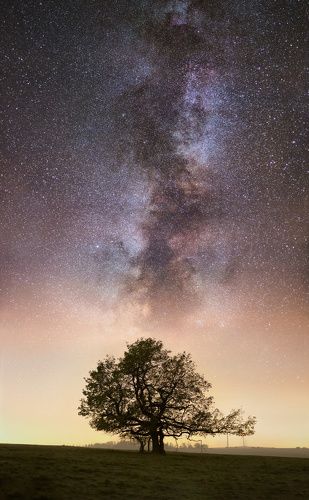 Solitair and Stars