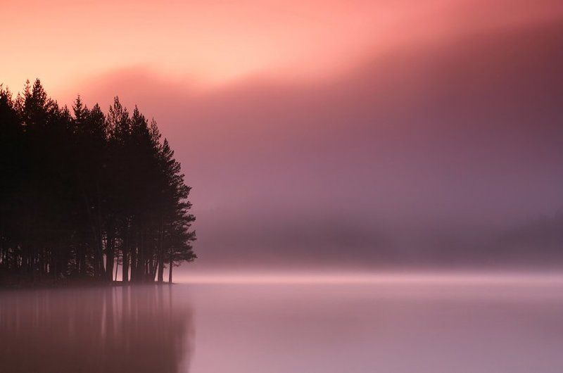 болгария, рассвет, туман, озеро, лес, Горный Водоемphoto preview