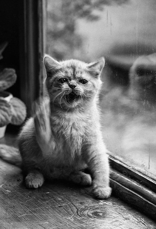 Пятница 13...photo preview