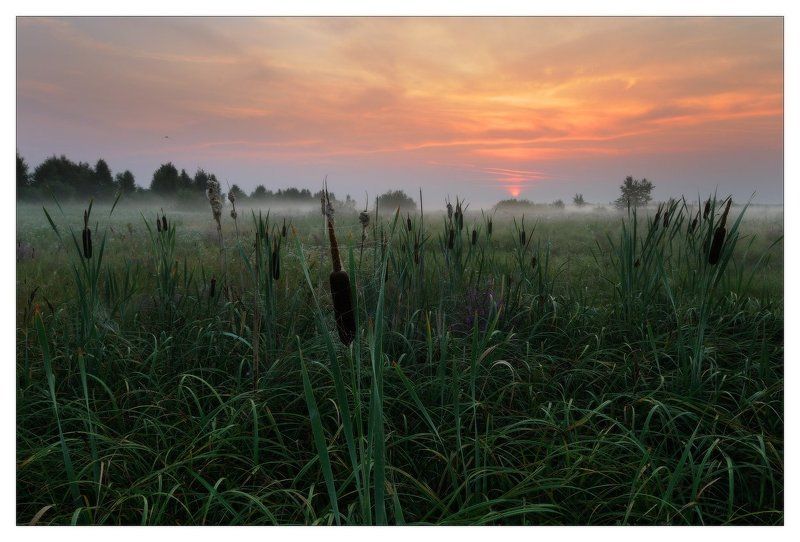 рассветphoto preview