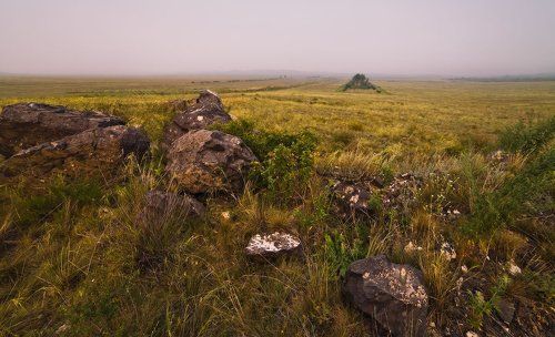 Вечером в степи
