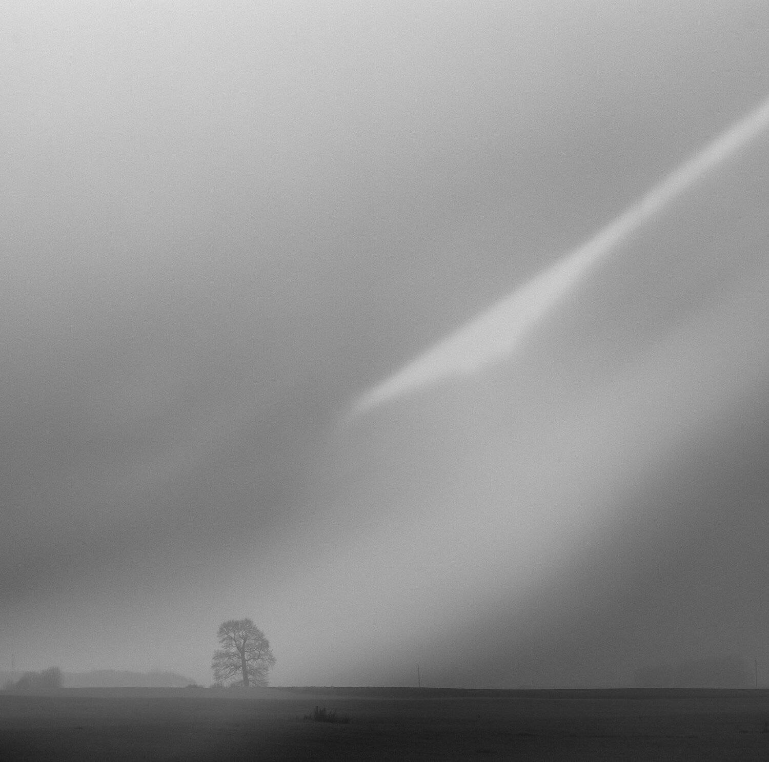 , Artur Politov