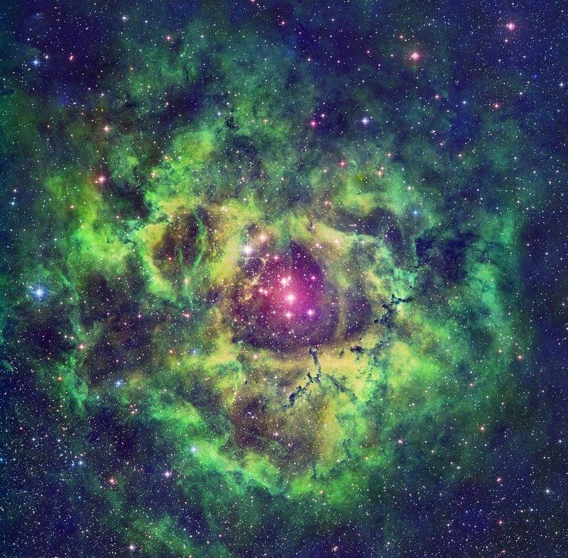 астрономия, небо, звёзды, ночная, съёмка, телескоп, туманность, розетка Туманность Розеткаphoto preview