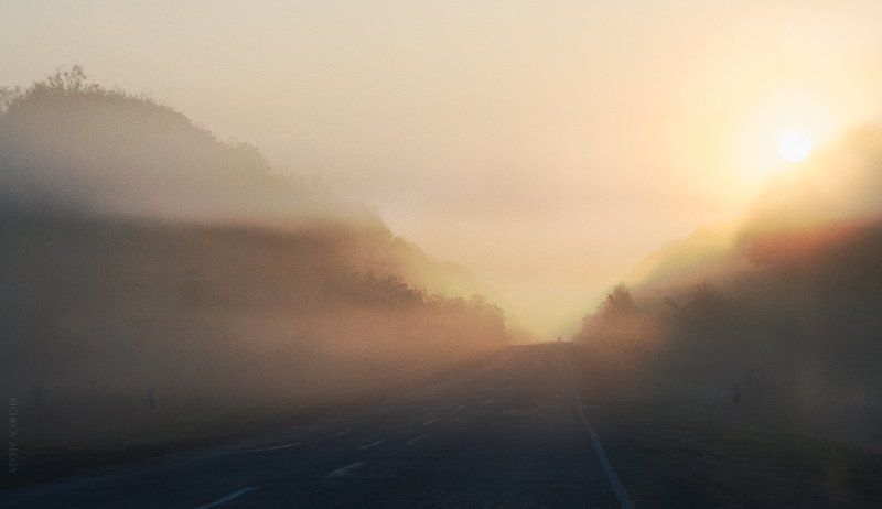 утро, дорога, туман Туманное утроphoto preview