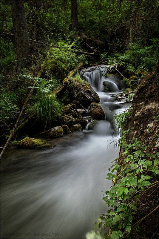Лесной ручей IIIphoto preview