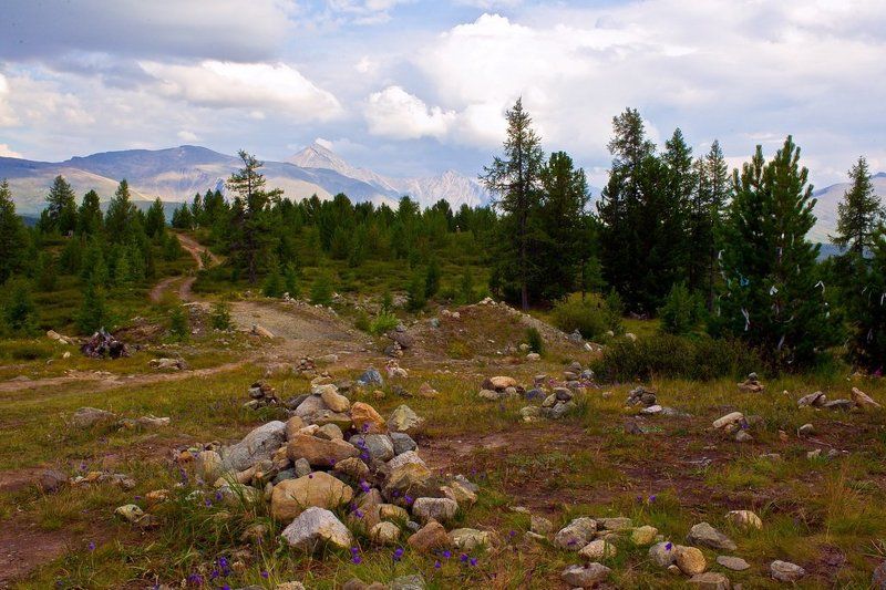 алтай,горный алтай ,на улаганском перевале.. photo preview
