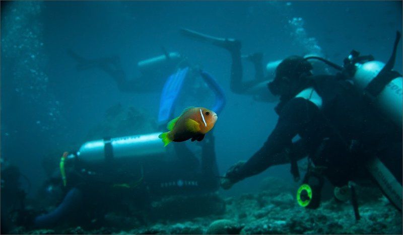 обалдевшая Афигеть ...photo preview