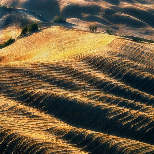 Sunny Waves