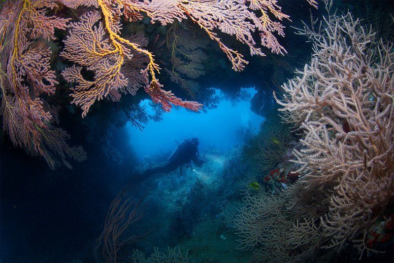 Explorerphoto preview