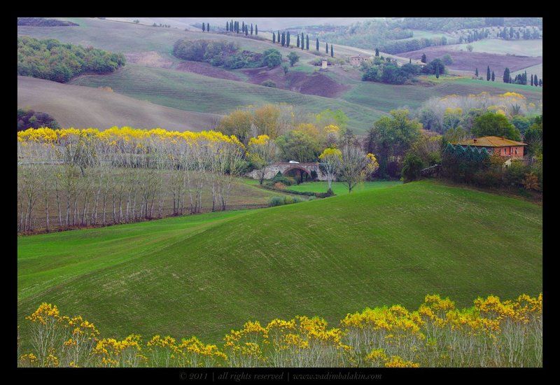 тоскана А ragazzi взяли спички, в лес осиновый пошли...photo preview