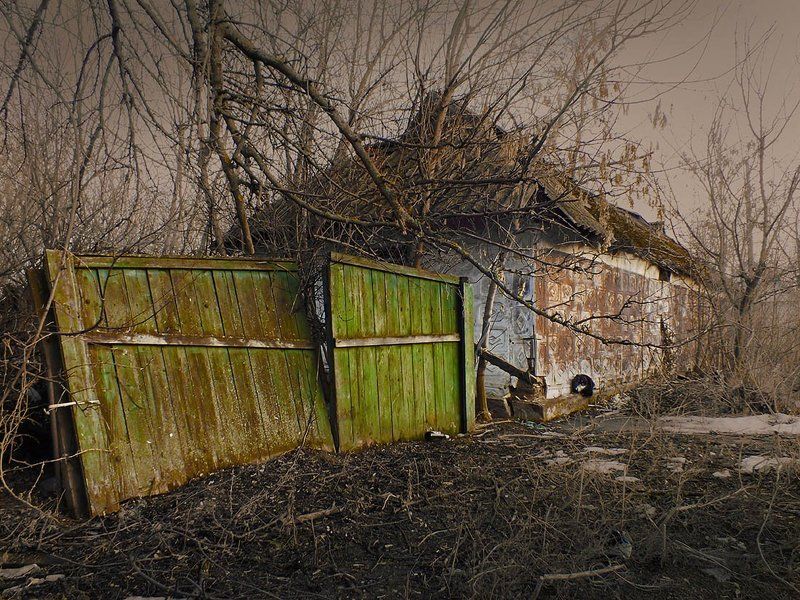 Зелёные воротаphoto preview