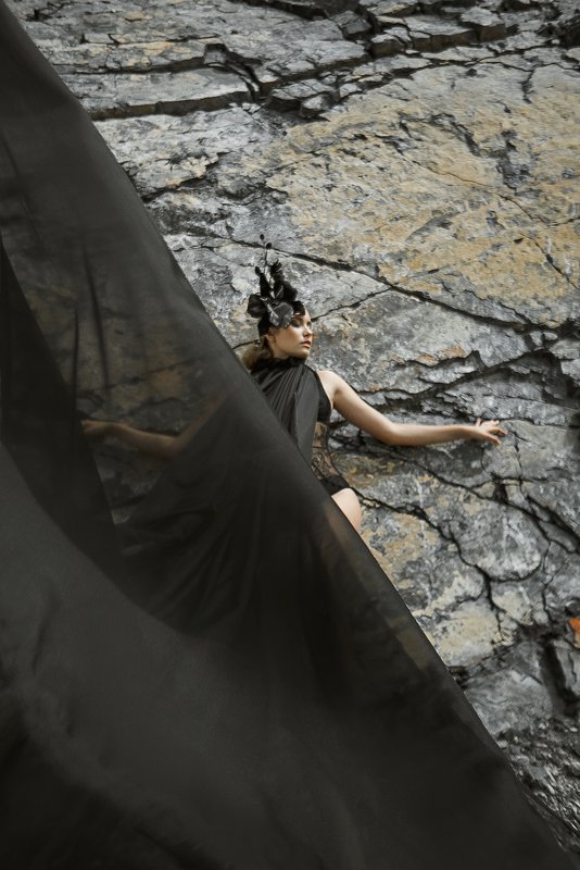 Black Orchidphoto preview