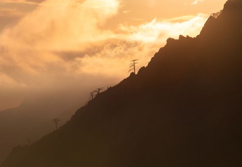 Божественное сияние