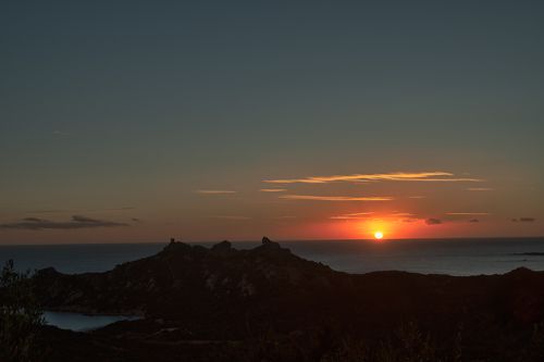 Le Lion de Roccapina