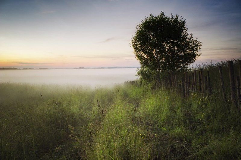 поле, туман, вечер, забор Мягкое полеphoto preview