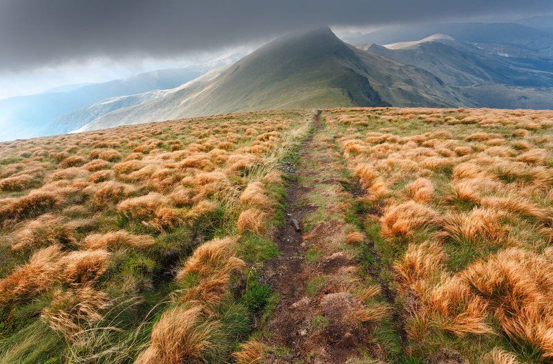 г. Блызныцяphoto preview