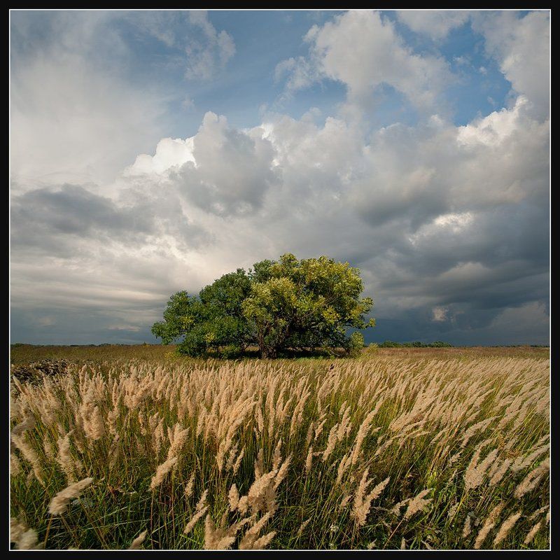 tokina af 17 f3.5 at-x pro, Август... Лето подходило к концу...photo preview