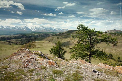 Просторы Алтая