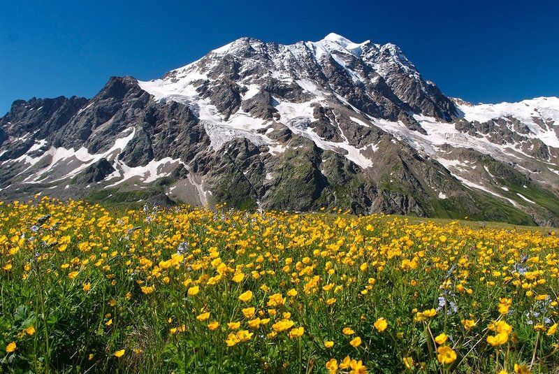 Поляна Нахашбитаphoto preview