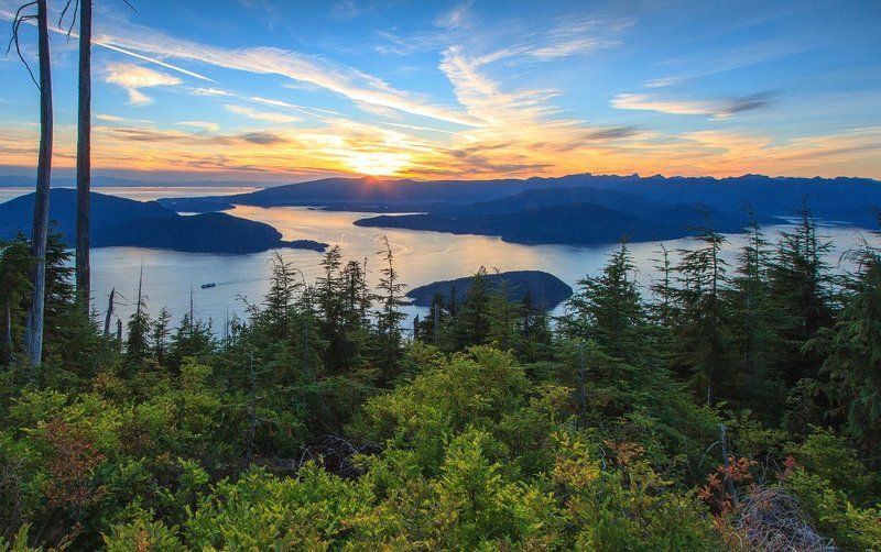 Последний пароходphoto preview