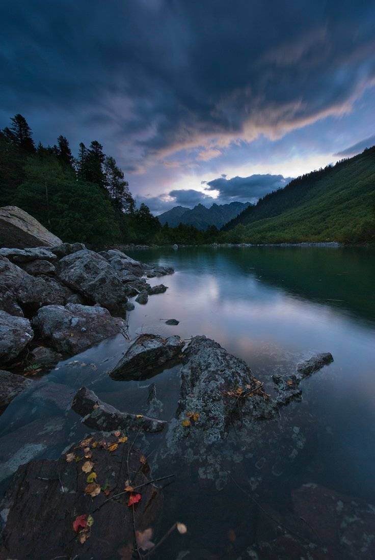 Автор: Максим , Максим