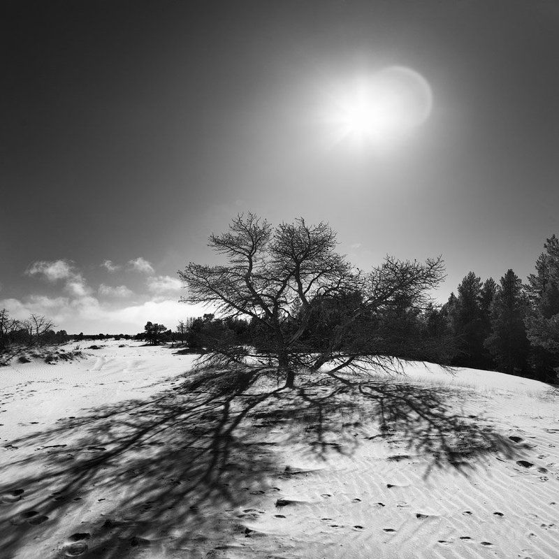паук Паукphoto preview